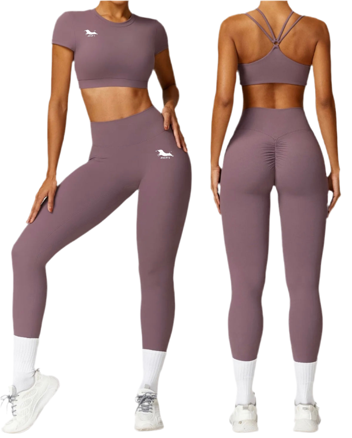 Modello ATENA lavanda