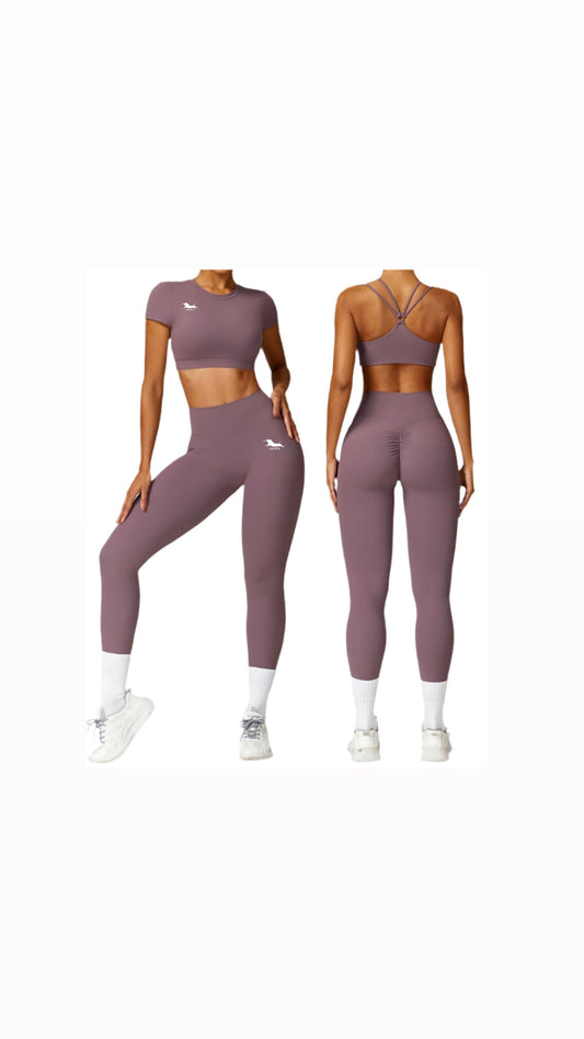 Modello ATENA lavanda