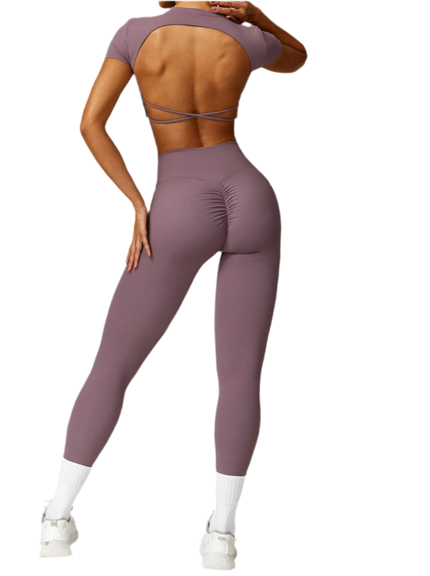 Modello ATENA lavanda